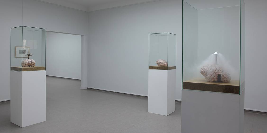 Tentoonstellingsoverzicht 'Hortus/Corpus', 2011