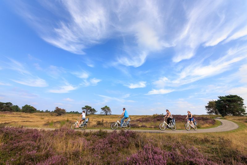 Bezoekers op Witte Fietsen in het Nationale Park de Hoge Veluwe